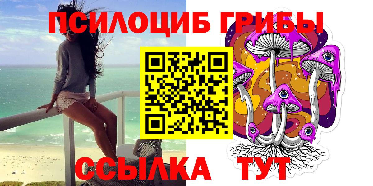 Галлюциногенные грибы Magic Shrooms  Псилоцибиновые грибы прущие грибы  дарнет шоп  Вход с VPN  Кашира 